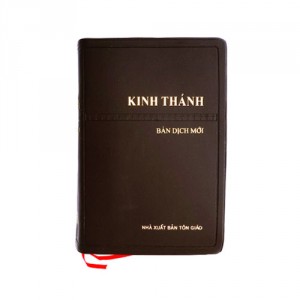 New Vietnamese Bible